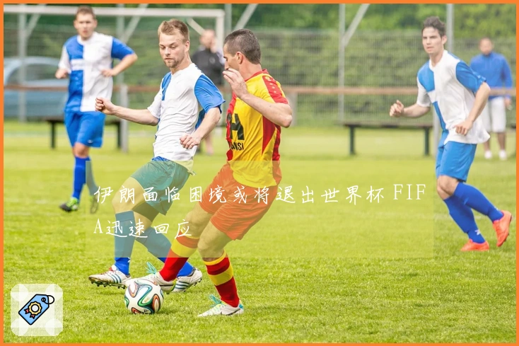 伊朗面临困境或将退出世界杯 FIFA迅速回应