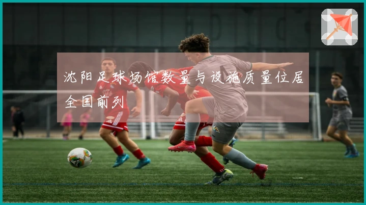 沈阳足球场馆数量与设施质量位居全国前列